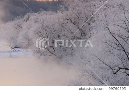 Hoarfrost and air storm seen from Otowa Bridge 99760595