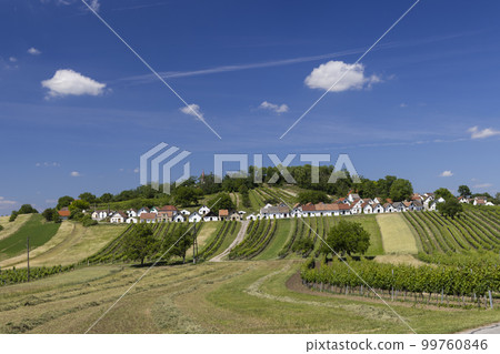 Traditional wine cellars with vineyard in Galgenberg near Wildendurnbach, Lower Austria, Austria 99760846
