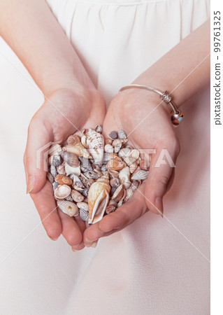 Many beautiful seashells in the hands of the girl Many beautiful seashells in the hands of the girl 99761325