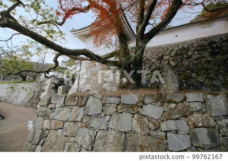Townscape of Tatsuno Tatsuno Castle Tatsuno Town, Tatsuno City, Hyogo Prefecture 99762167