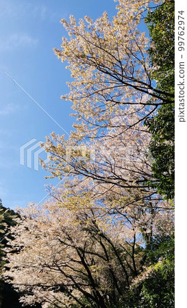 春浦4號 春浦4號 99762974