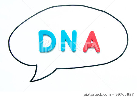 Alphabet letter with word DNA (abbreviation of Deoxyribonucleic acid) in black line hand drawing as bubble speech on white board background Alphabet letter with word DNA (abbreviation of Deoxyribonucleic acid) in black line hand drawing as bubble speech on white board background 99763987