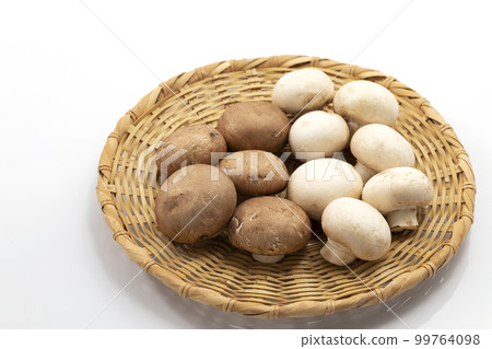 白色和棕色蘑菇排成一個圓圈，背景為白色 99764098