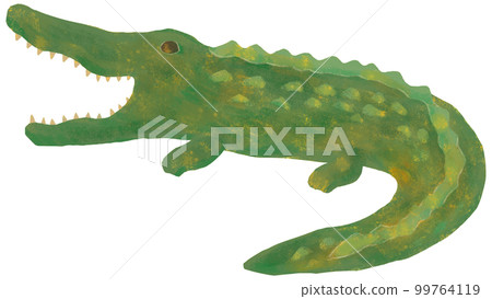 鱷魚 99764119
