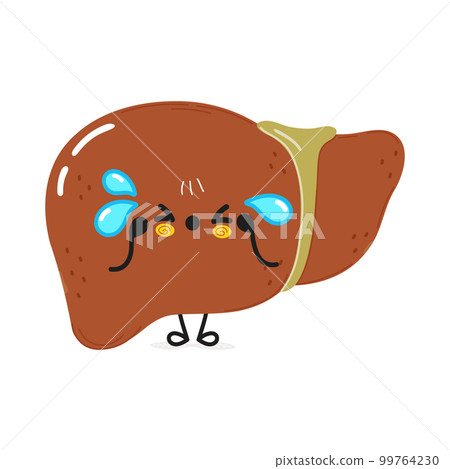 Cute sad liver character. Vector hand drawn cartoon kawaii character illustration icon. Isolated on white background. Sad liver character concept Cute sad liver character. Vector hand drawn cartoon kawaii character illustration icon. Isolated on white background. Sad liver character concept 99764230