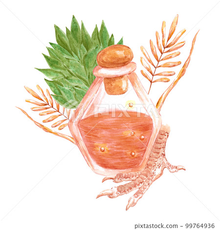 Watercolor magical poison composition. Isolated on white background. Scrapbook, post card, banner, lable. Watercolor magical poison composition. Isolated on white background. Scrapbook, post card, banner, lable. 99764936
