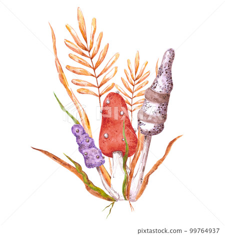 Watercolor magical poisoned mushrooms composition. Isolated on white background. Scrapbook, post card, banner, lable. 99764937