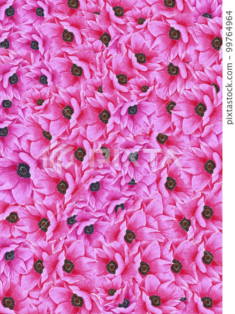 Hand drawn watercolor pink anemone flower card. Isolated on white background. Scrapbook, post card, banner, lable. Hand drawn watercolor pink anemone flower card. Isolated on white background. Scrapbook, post card, banner, lable. 99764964