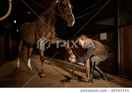 Young woman making horses hoof manicure, filing and shaping horseshoe Young woman making horses hoof manicure, filing and shaping horseshoe 99765554