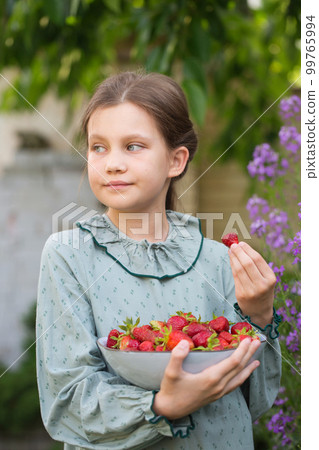 little girl in a vintage dress eats strawberries in the garden little girl in a vintage dress eats strawberries in the garden 99765994