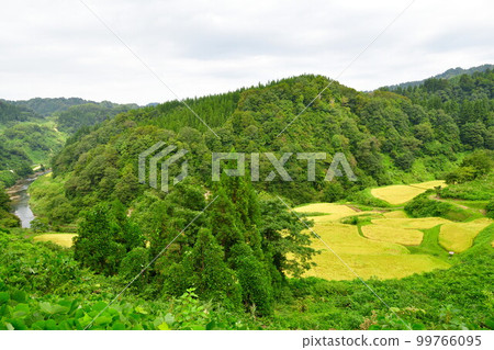 Nakago Rice Terraces (Niigata Prefecture) Nakago Rice Terraces (Niigata Prefecture) 99766095
