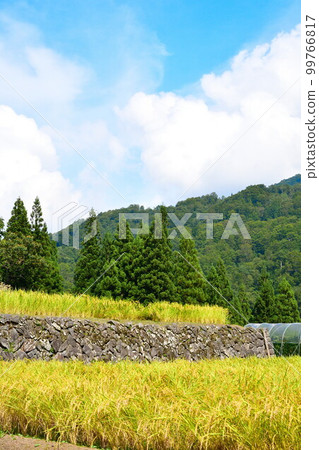 Rural scenery around Tsunan Mikura Bridge (Niigata Prefecture) Rural scenery around Tsunan Mikura Bridge (Niigata Prefecture) 99766817