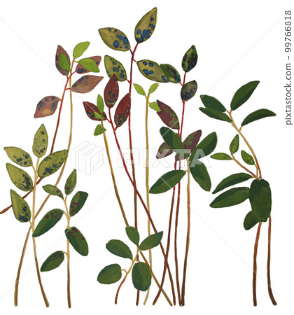 Composition of autumn plants: blueberries and lingonberries on long stems. Watercolor botanical illustration isolated on white background Composition of autumn plants: blueberries and lingonberries on long stems. Watercolor botanical illustration isolated on white background 99766818