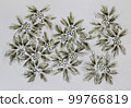 White snowdrops (primroses) growing on the ground. Spring drawing. Forest flowers 99766819