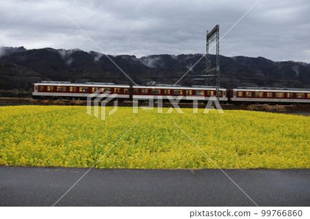 Train to Nanohana 99766860