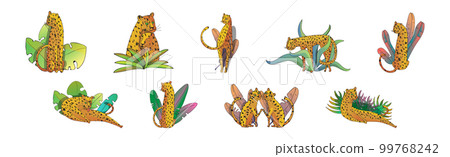 Orange Spotted Leopard Near Tropical Foliage Vector Set Orange Spotted Leopard Near Tropical Foliage Vector Set 99768242