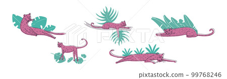 Purple Spotted Leopard Near Tropical Foliage Vector Set 99768246