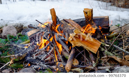 fire bonfire winter woods firewood flames 99768370