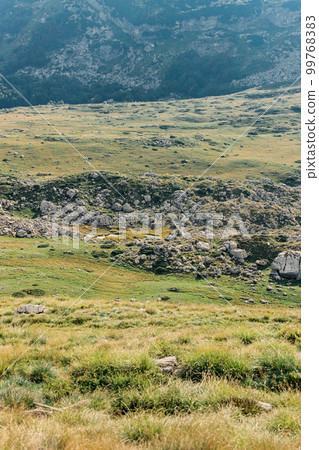Stones on a green plain at the foot of the mountains 99768383