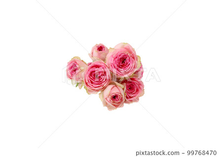 白色背景上的玫瑰花束 99768470