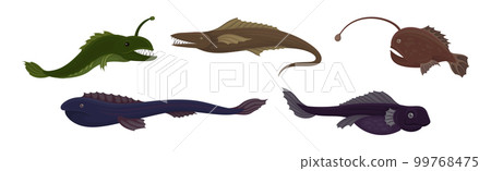 Fish of the Deep Blue Sea with Toothy Lanternfish Vector Set Fish of the Deep Blue Sea with Toothy Lanternfish Vector Set 99768475