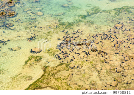 Sandy ocean floor 99768811
