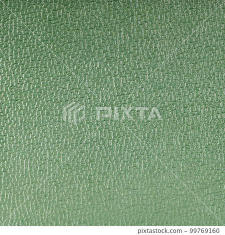 Green leather 99769160