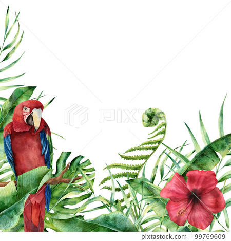 Watercolor exotic floral card with parrot. Hand painted tropical Watercolor exotic floral card with parrot. Hand painted tropical 99769609
