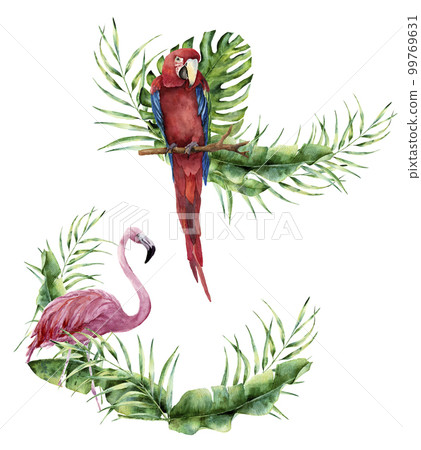 Watercolor summer tropical label. Hand painted floral card with tropical plant, flamingo and parrot. Illustration with palm tree leaves and exotic birds isolated on white background. For design Watercolor summer tropical label. Hand painted floral card with tropical plant, flamingo and parrot. Illustration with palm tree leaves and exotic birds isolated on white background. For design 99769631