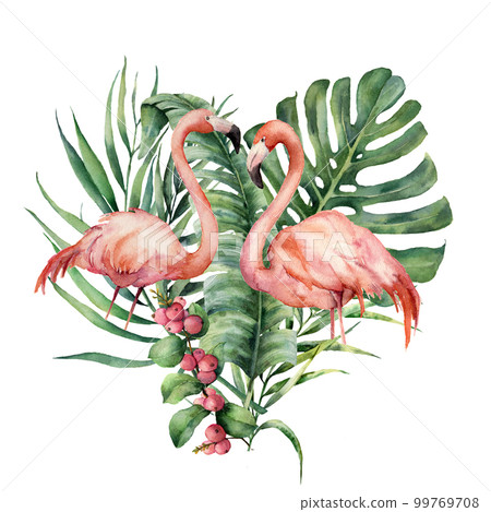 Watercolor heart with palm leaves and flamingo. Hand painted exotic bird, coconut and banana branch, monstera, berries isolated on white background. Love. Print for design or card. Watercolor heart with palm leaves and flamingo. Hand painted exotic bird, coconut and banana branch, monstera, berries isolated on white background. Love. Print for design or card. 99769708