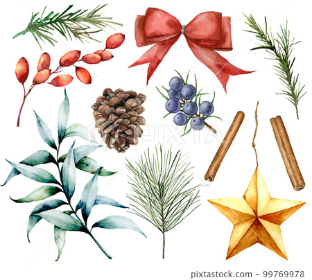 Watercolor Christmas decor set. Hand painted fir branches, eucalyptus leaves, barberry, star, fir cone, cinnamon, juniper, bow and rosemarin isolated on white background. Holiday illustrations. 99769978