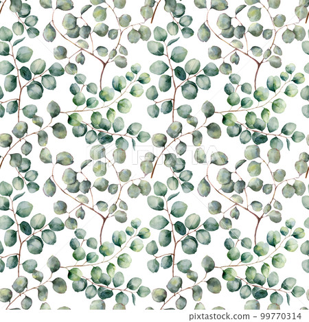 Watercolor silver dollar eucalyptus big seamless pattern. Hand painted beautiful eucalyptus branch isolated on white background. Floral illustration for design, print, fabric or background. Watercolor silver dollar eucalyptus big seamless pattern. Hand painted beautiful eucalyptus branch isolated on white background. Floral illustration for design, print, fabric or background. 99770314