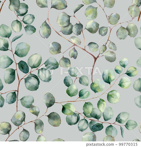 Watercolor silver dollar eucalyptus realistic seamless pattern. Hand painted beautiful eucalyptus branch isolated on blue background. Floral illustration for design, print, fabric or background. Watercolor silver dollar eucalyptus realistic seamless pattern. Hand painted beautiful eucalyptus branch isolated on blue background. Floral illustration for design, print, fabric or background. 99770315