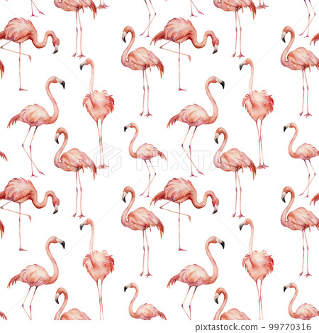 Watercolor pink flamingo pattern. Hand painted bright exotic birds isolated on white background. Wild life illustration for design, print, fabric or background. 99770316