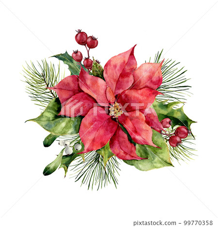 Watercolor poinsettia with Christmas floral decor. Hand painted traditional flower and plants: holly, mistletoe, berries and fir branch isolated on white background. Holiday print. 99770358
