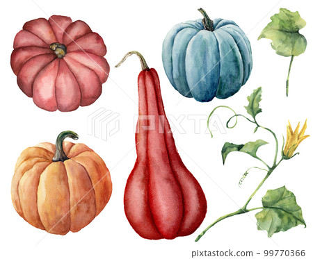 Watercolor set with pumpkins. Hand painted red, blue and orange pumpkins with leaves and branches isolated on white background. Autumn harvest. Botanical illustration for design, print. Watercolor set with pumpkins. Hand painted red, blue and orange pumpkins with leaves and branches isolated on white background. Autumn harvest. Botanical illustration for design, print. 99770366