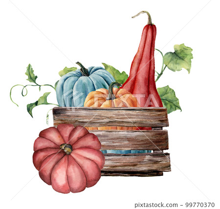 Watercolor card with pumpkins. Hand painted bright pumpkins with leaves and branches isolated on white background. Autumn harvest. Botanical illustration for design, print. 99770370