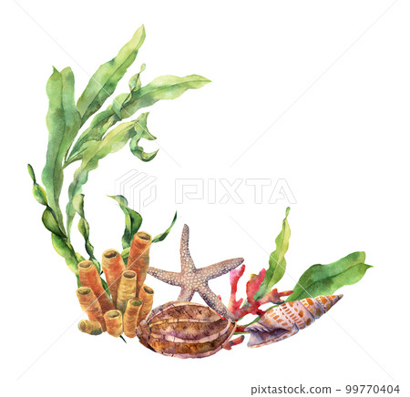 Watercolor nautical border with coral reef. Hand painted underwater illustration with laminaria branch, starfish and shell isolated on white background. Nautical illustration for design. Watercolor nautical border with coral reef. Hand painted underwater illustration with laminaria branch, starfish and shell isolated on white background. Nautical illustration for design. 99770404