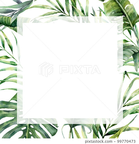 Watercolor tropical big frame with exotic palm leaves. Hand painted floral illustration with banana, coconut and monstera branch isolated on white background for design, fabric or print. 99770473