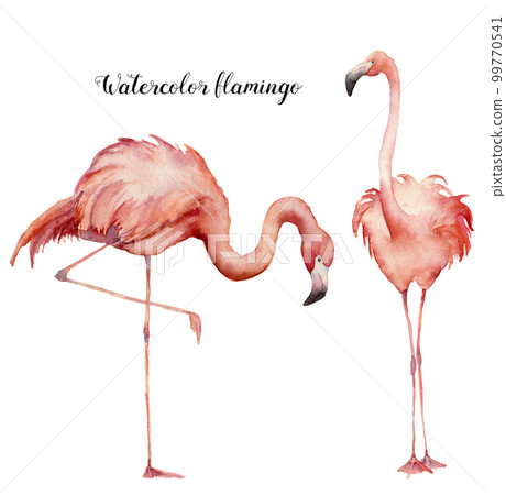 Watercolor two flamingo set. Hand painted bright exotic birds isolated on white background. Wild life illustration for design, print, fabric or background. 99770541