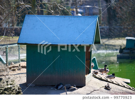 Wooden duck and goose house on the lake, spring day. Wooden duck and goose house on the lake, spring day. 99770923