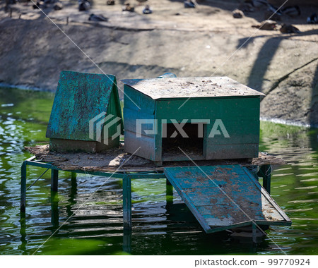 Wooden duck and goose house on the lake, spring day. Wooden duck and goose house on the lake, spring day. 99770924