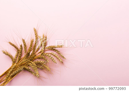 Sheaf of wheat ears close up and seeds on colored background. Natural cereal plant, harvest time concept. Top view, flat lay with copy space. world wheat crisis Sheaf of wheat ears close up and seeds on colored background. Natural cereal plant, harvest time concept. Top view, flat lay with copy space. world wheat crisis 99772093