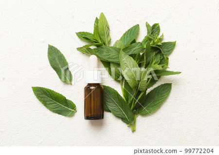 Natural Mint Essential Oil in a Glass Bottle. organic cosmetics with herbal extracts of mint on colored background 99772204