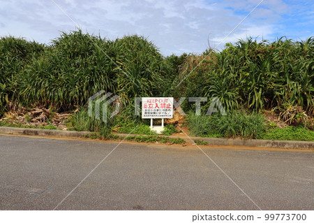 伊良部島(宮古島)Iguana Rock 入口現已禁止入內 伊良部島(宮古島)Iguana Rock 入口現已禁止入內 99773700
