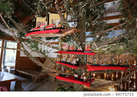 Beautiful chicks 99773715