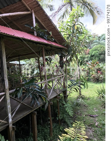 亞馬遜河地區島嶼上的小屋 99774378