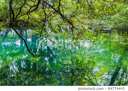 Yamagata Yusa's early summer Mysterious Pond Maruike of fresh greenery Yamagata Yusa's early summer Mysterious Pond Maruike of fresh greenery 99774441