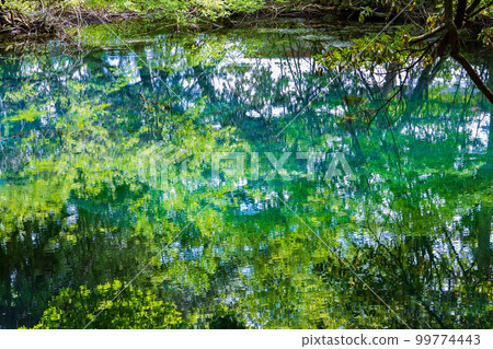 Yamagata Yusa's early summer Mysterious Pond Maruike of fresh greenery Yamagata Yusa's early summer Mysterious Pond Maruike of fresh greenery 99774443
