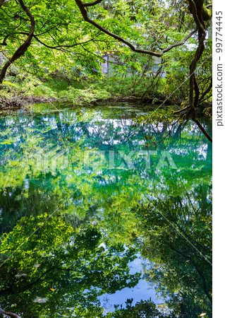 Yamagata Yusa's early summer Mysterious Pond Maruike of fresh greenery Yamagata Yusa's early summer Mysterious Pond Maruike of fresh greenery 99774445
